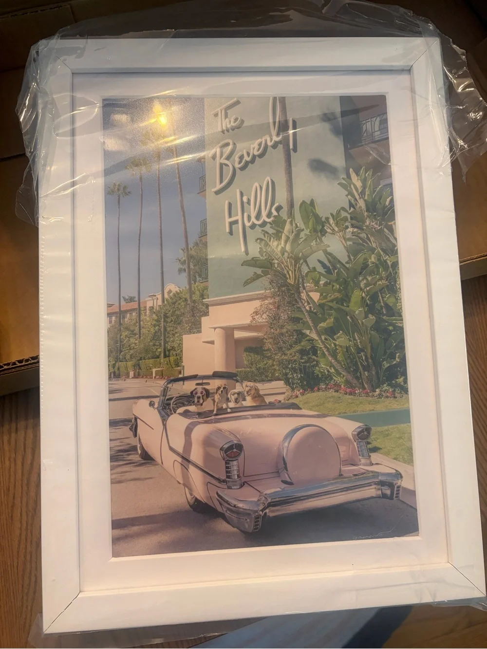 NEW Gray Malin “Mini” framed print - Joy Ride, The Beverly Hills Hotel Art Print